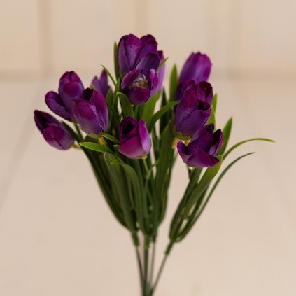 efcfbcde 8167 48ec 8e84 76b7b2297238