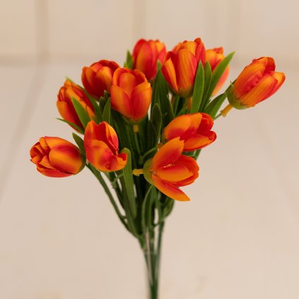 f91aa1b4 b912 4dc5 9bb5 4e9ea1ef955e