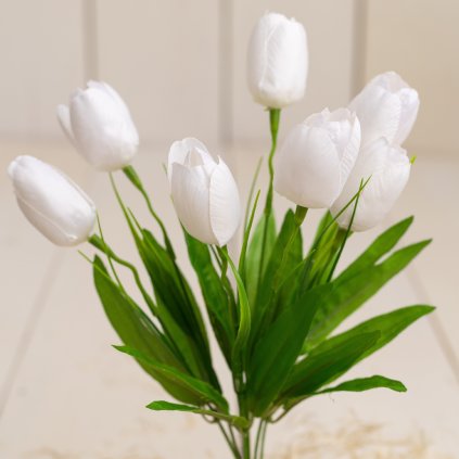 0dba8919 489b 41d9 b1ad b23ed2a01ac7