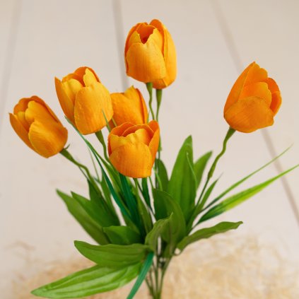 6613829a 52b0 40f2 9387 41db79a7845c