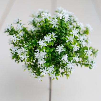 a7d3d5e7 e5a5 453e 80b9 21f606a978cc