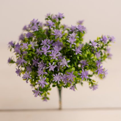 f6429e41 3679 4ef1 a09a 4fbd86f68036