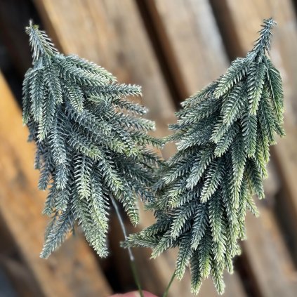 58fac50d 3b51 44d5 9043 6480a4ccc588