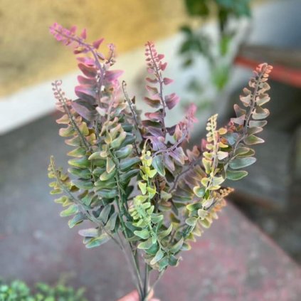 d064f059 ac25 40eb 91ba 08c0840ebf97