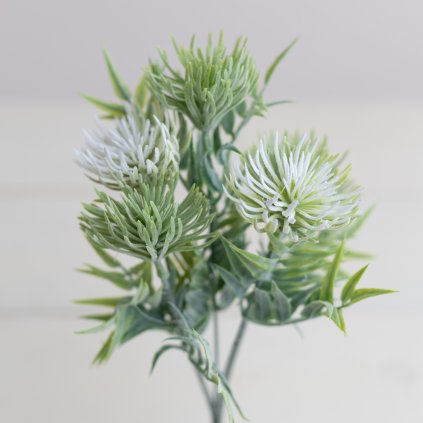 4aca7057 f1b8 4697 8d1b 3080c652a87c