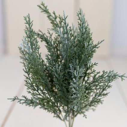 322aaa87 2df4 4313 b162 cffb830c66f2