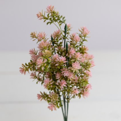 65c68261 0be9 409a 9a47 3c7544298c2f