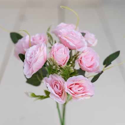 87b5f197 357c 4b9e 88f4 9c6579eb3e3d