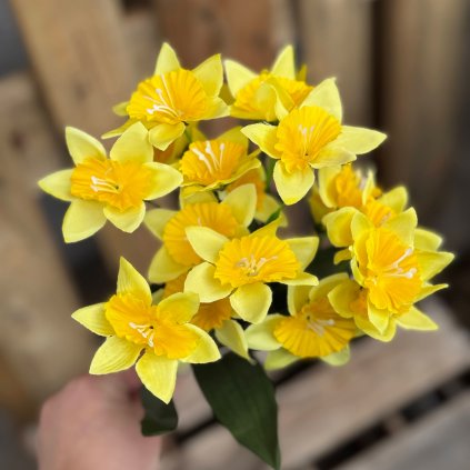 32b65ecb 655b 4cf0 be92 74b449ffb593