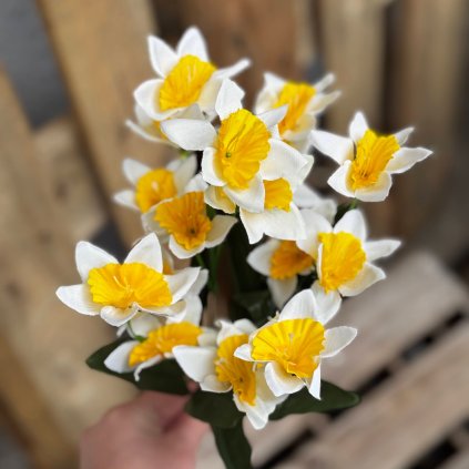 a8accda2 915d 4b81 b9cc c23d27c0b346