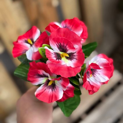 869e504d 33d7 40fe 9640 3bf7671257e0