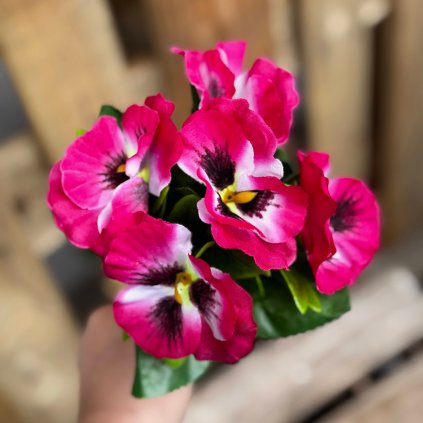 0921d077 ff2a 4b97 978d c39a9028b6f2