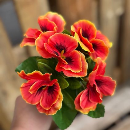 987d421c baa0 4799 9958 4b9cd24b8fb0