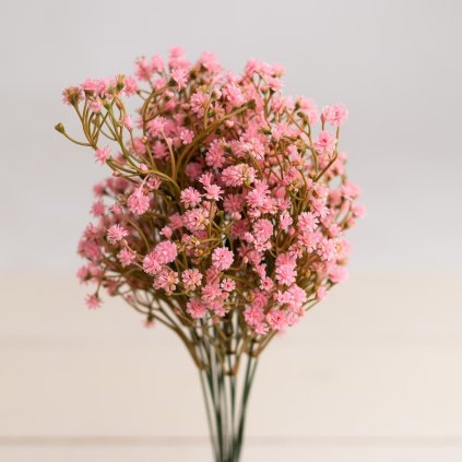 595bda6b ff01 41eb a62c 54ae84b358f7