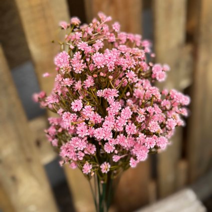 2ecf17c4 bb7a 4eea 8ef4 504688f848df