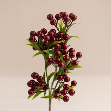 faa84e2d 2eb9 4403 ae9b 75c4a40889e5