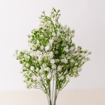 21cf4aa4 3c36 4098 937c 453edbb6e58e