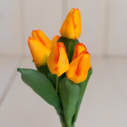 43d4d16d 70b2 45fd b360 7e45313208b8