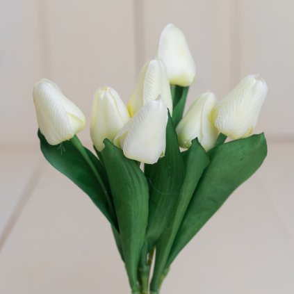 e4bb9104 fa78 4e78 b36c 4d7ba6cc9467