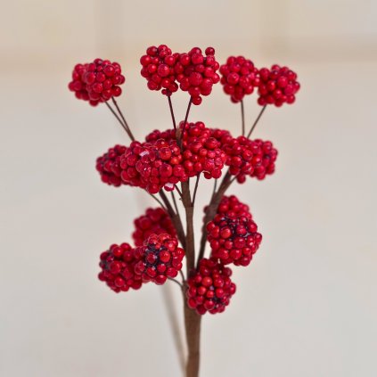 d8292e5e e96c 456c 9f98 883646c57c53