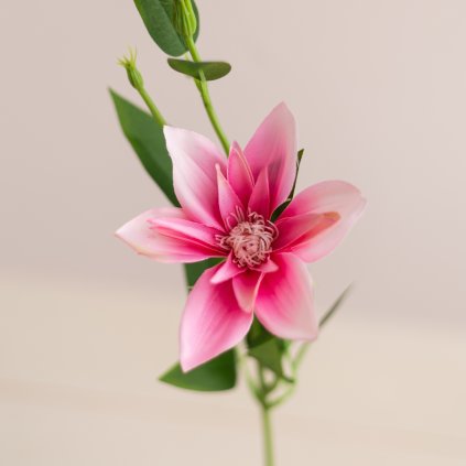 1f30e427 c880 40c4 91ed c191247c8071