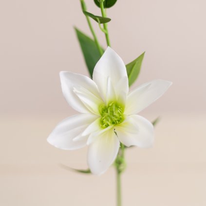 1677c38a 5953 422c 93e7 3f6e9820adff