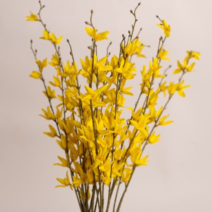 b5b42a3b 65c5 4991 b856 d80993e9e26c