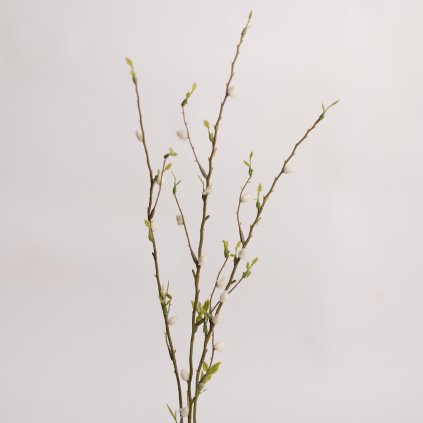 42ba2418 a63a 48dd 9451 606a33d736fc