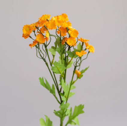 3c5d6453 1709 4923 a6a8 0d7803259dbe