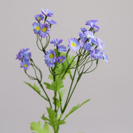 ef408d7d f395 4d1a 9544 80b1d8462f3c