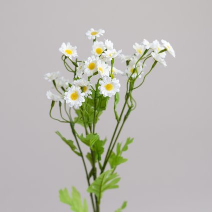 24bb0380 982d 4b36 bffe b4eb1fe45d91