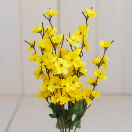 69718d5c 66a1 49ca 9efe 5c9eb8020e41