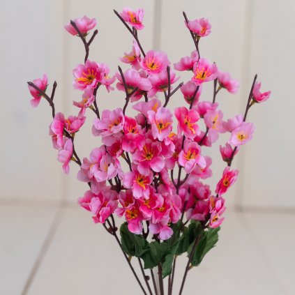 c69856b4 066e 45b4 ac40 4b4dd36b29c4