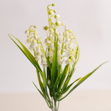 2253859d 333c 4a38 9124 9fb8cc088ff2