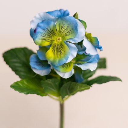 7e38396c c30a 44bb 88b9 f0b842a8f979