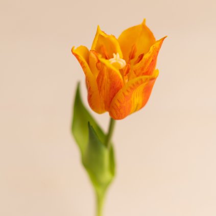 46675ad1 0f59 42e5 928a 4d91f8ae662d