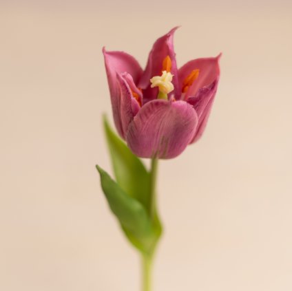 ea68436c 9659 4419 9da2 761fdf7a2706