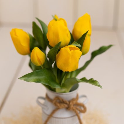 545f1f31 567b 44d8 a9ec 40dc69eef2f0