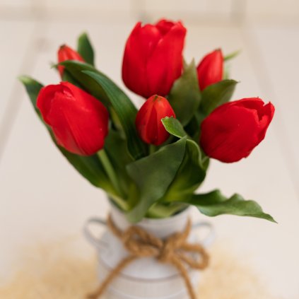 ef600ccb ff1a 49b8 9161 43de2c7e5fe6