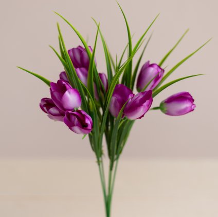 d0059841 479d 4c61 b95e 4bdd13cf8b38