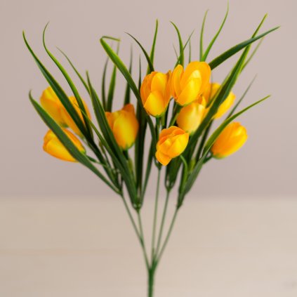 2b08fee5 4b44 4418 a6e5 0a5bea4c9538