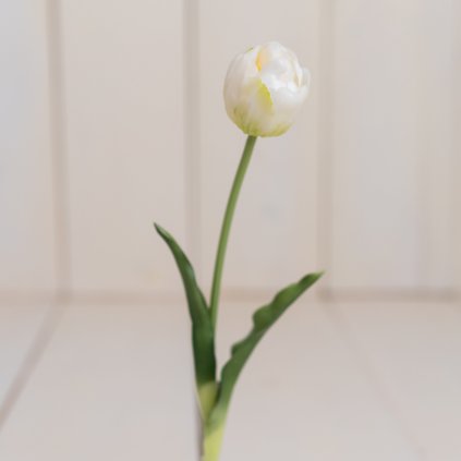 f2803b61 b8e5 4eb6 b49a 046a73063270