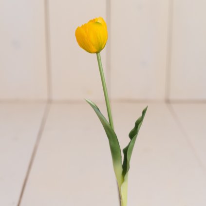 ee31a11d 870f 43bf 8523 f0d0357240ea