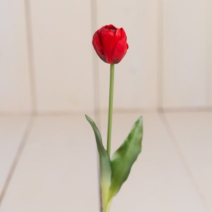 eef3224e 2d2b 42f9 a0c1 4ad514ce5679