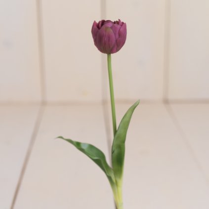 1ed489da 192e 4c75 ab44 fda837b837a2