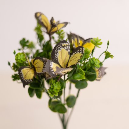 76ccd39c bd4d 47bc 9a88 1c625c3a58c9