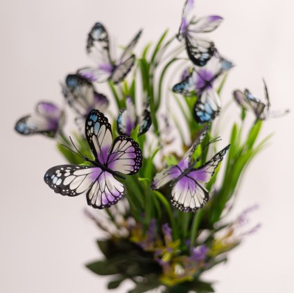 d47951b4 18c5 44cf 902c cac0715f60a1