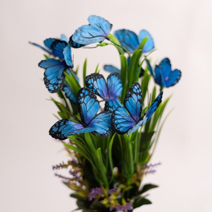 e2abcf9e 526b 481e ba80 147aa18bce20