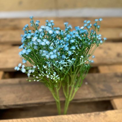 05d889ba 202d 464f bd4f 7214d709174e