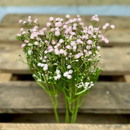 5effd9c1 9210 4eb2 9ed4 de671c1faada